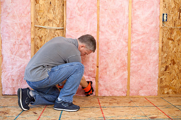 Best Geographic-Specific Insulation Services in Southern View, IL